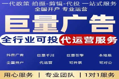 竞价托管与SEO结合的案例分析